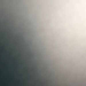 Meet your Posher, Joyce